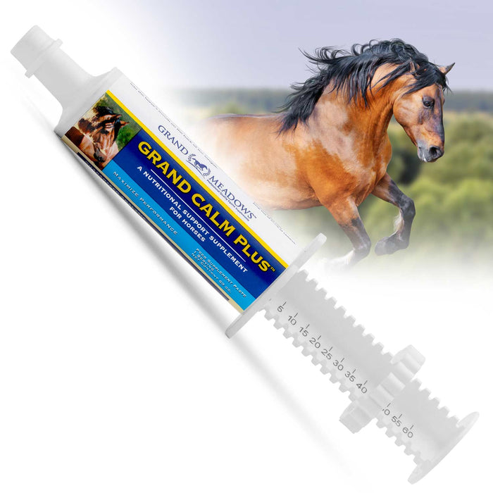 Grand Calm Paste Horse Supplement, 60cc