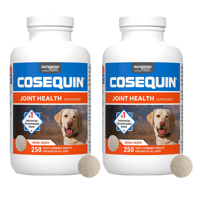 Nutramax Cosequin Maximum Strength Joint Health Plus MSM Supplement for Dogs, Chewable Tablets