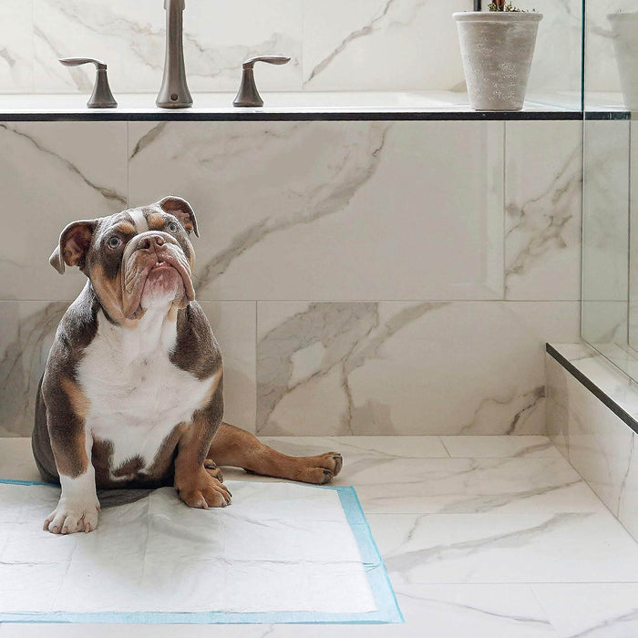 Wee Wee Dog Pee Pads