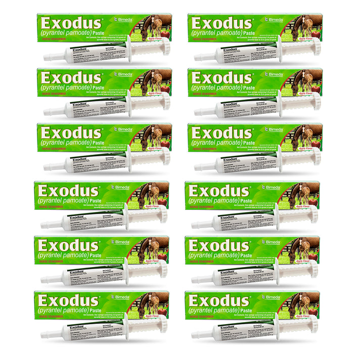 Exodus Pyrantel Pamoate Horse Dewormer Paste