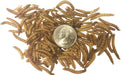 Dried Mealworms Size 5 lbs