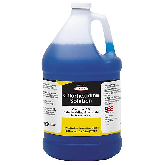 Chlorhexidine Cleaning Solution for Horses & Dogs, Gallon