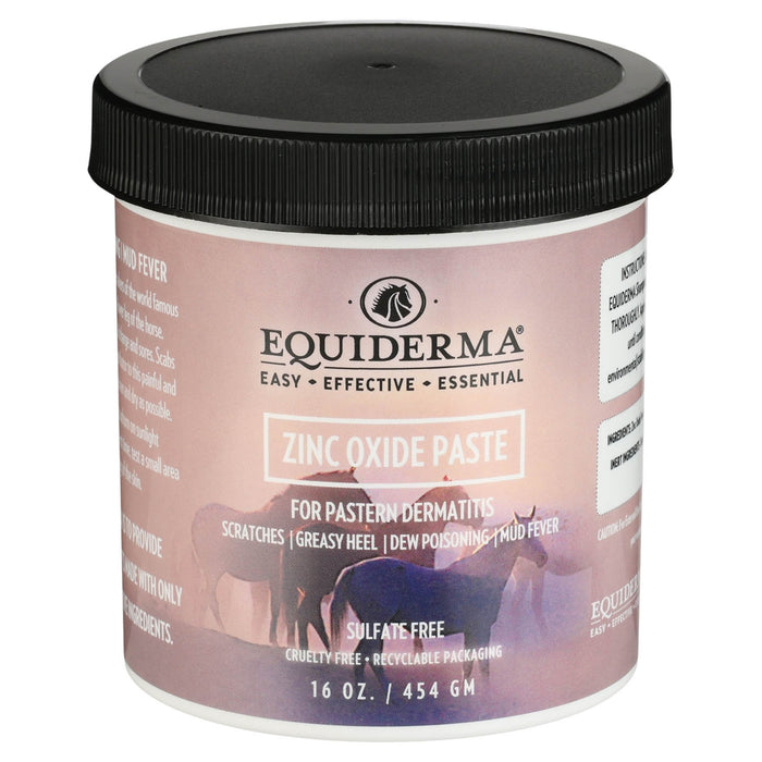Equiderma Zinc Oxide Paste, 16 oz