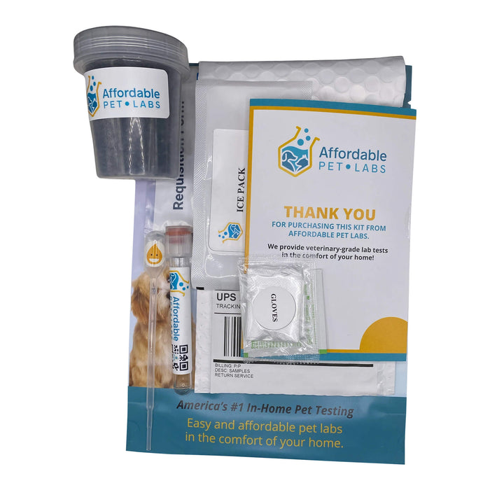 Affordable Pet Labs Urine Culture For Cats Easy Home Kit  