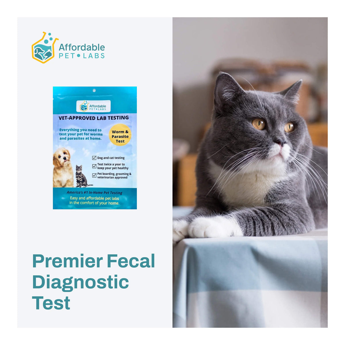 Affordable Pet Labs - Affordable Pet Labs Premier Fecal Diagnostic Test ...