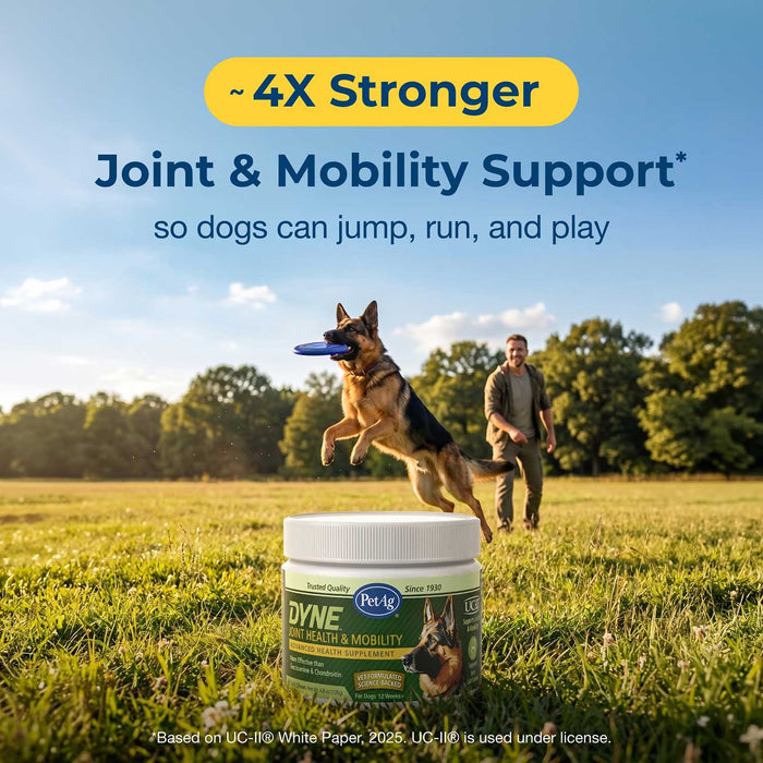 PetAg Dyne Joint Health & Mobility Soft Chews for Dogs – Chicken Liver Flavor, 45 Count