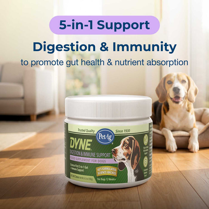 PetAg Dyne Digestion & Immune Support Soft Chews with Probiotics for Dogs, 60 ct