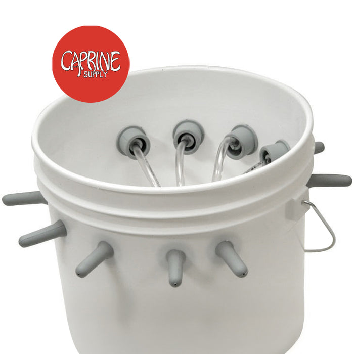 Caprine Feeding Outfit