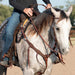 Martin Saddlery 1.5 Breast Collar with Rosette Strings Color Brown
