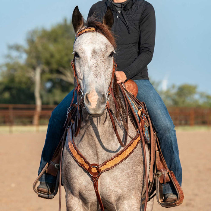 Martin Saddlery Browband Headstall with Scroll Tooling Color Brown