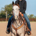 Martin Saddlery Browband Headstall with Scroll Tooling Color Brown