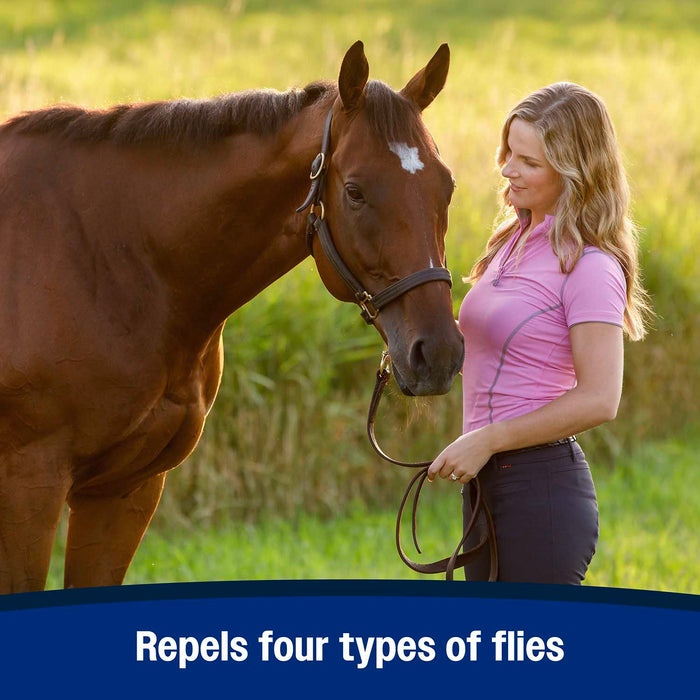 Swat Clear & Pink Fly Repellent Ointment for Horses, Ponies, & Dogs