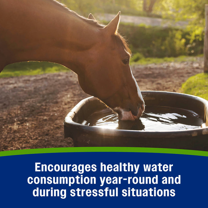 Farnam Apple Elite Electrolyte Pellets 7.5 pounds, 40 day supply Size 7.5LBS, 40pk