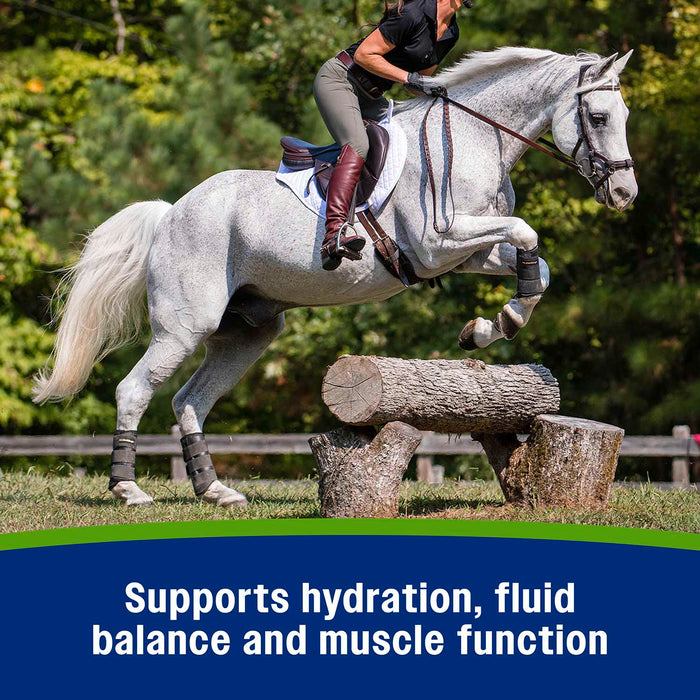 Farnam Apple Elite Electrolyte Pellets 7.5 pounds, 40 day supply Size 7.5LBS, 40pk