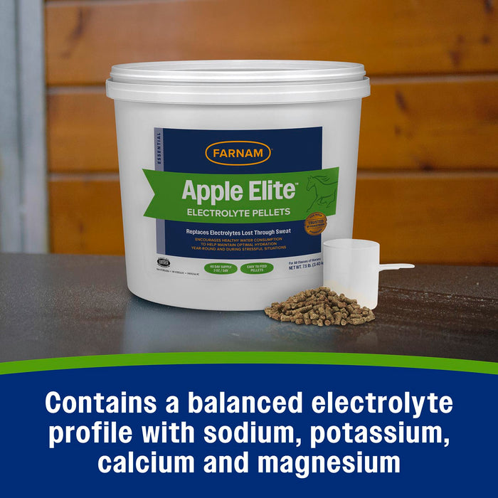 Farnam Apple Elite Electrolyte Pellets 7.5 pounds, 40 day supply Size 7.5LBS, 40pk