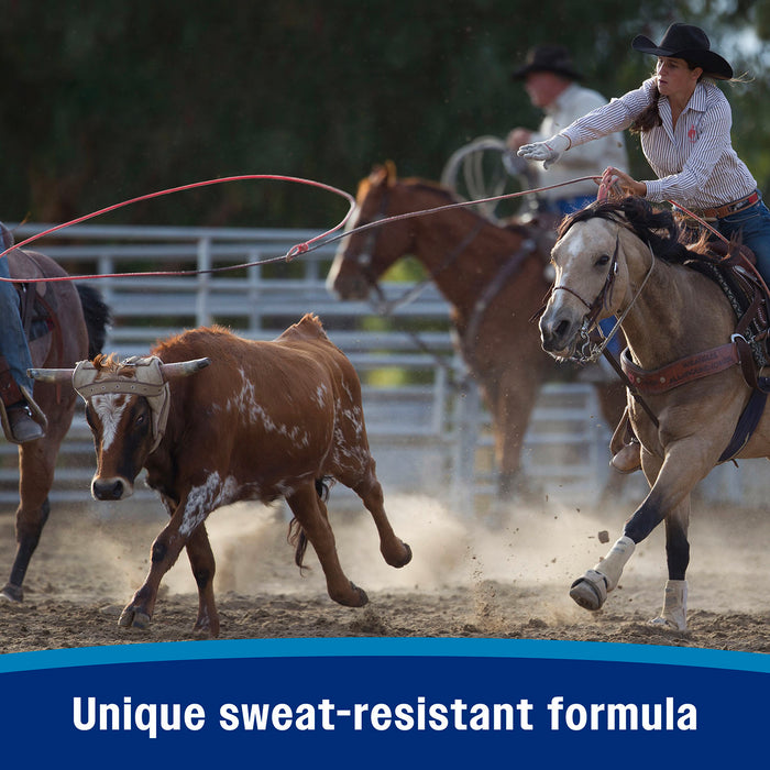 Farnam Endure Sweat-Resistant Fly Control Spray for Horses