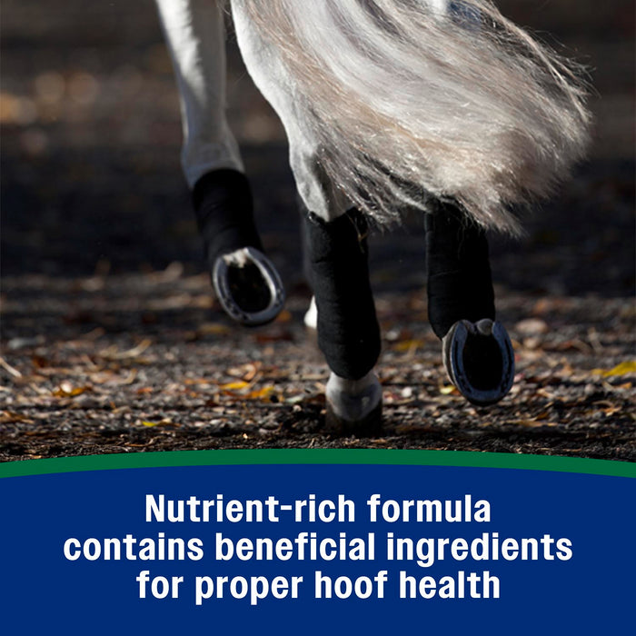 Horseshoer's Secret Pelleted Hoof Supplement