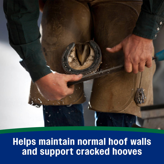 Horseshoer's Secret Pelleted Hoof Supplement