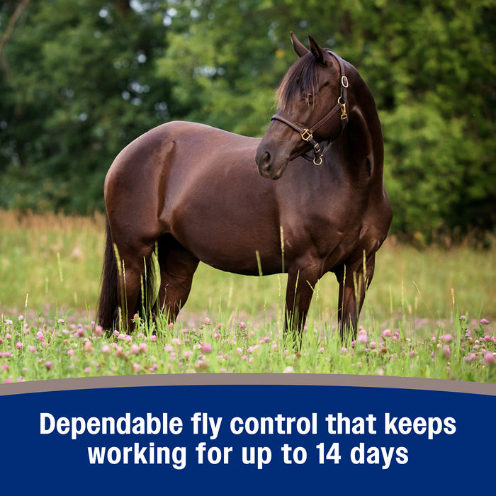 Farnam Tri-Tec 14 Fly Repellent for Horses