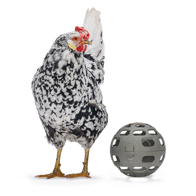 CHICKEN SNACK BALL 100% RECYCLED  