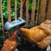 CHICKEN FEEDER WITH VELCRO ATTACHMENTS 100 % RECYCLED  