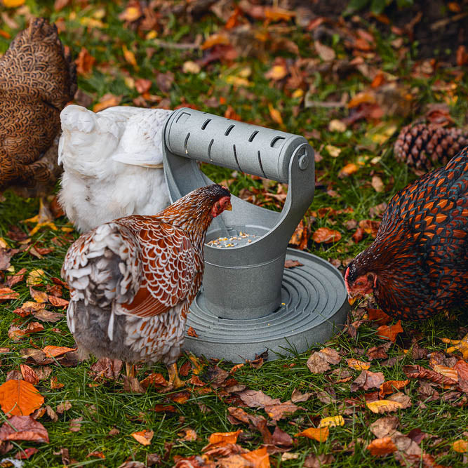 PLAY AND FEED TOWER FOR CHICKENS 100 % RECYCLED  