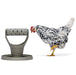 PLAY AND FEED TOWER FOR CHICKENS 100 % RECYCLED  