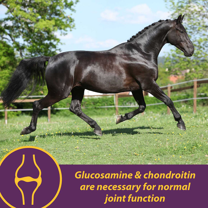 Joint Combo™ Pellets with Glucosamine and Chondroitin for Horses