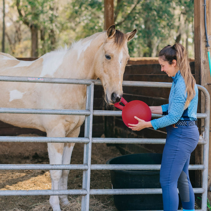 Horseman's Pride Scented Jolly Ball 10" Horse Toy – Durable, Chew-Resistant Equine Enrichment Ball for Outdoor Fun
