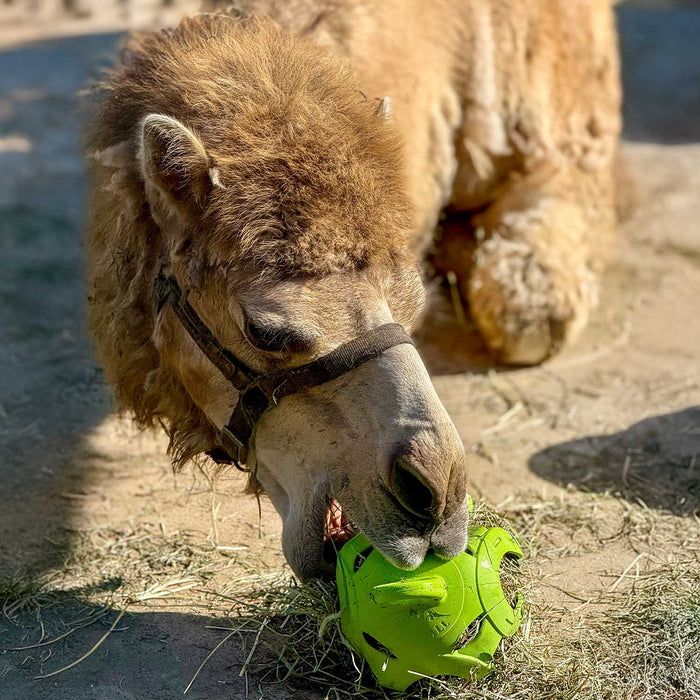 Jolly Hay Ball, 8" – Interactive Horse & Livestock Toy for Hay Feeding and Enrichment