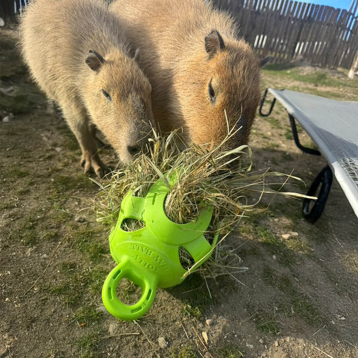 Jolly Hay Ball, 8" – Interactive Horse & Livestock Toy for Hay Feeding and Enrichment