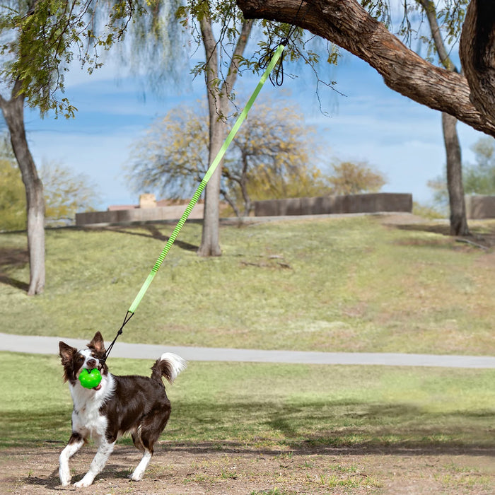 Jolly Pets Tree Tugger Interactive Bungee – Durable Tug-O-War & Solo Play Dog Toy for Heavy Chewers