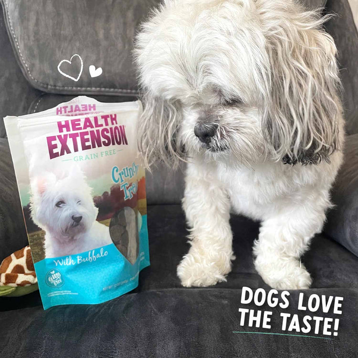 Health Extension Crunchy Heart-Shaped Cookie Dog Treats, Small, 12 oz