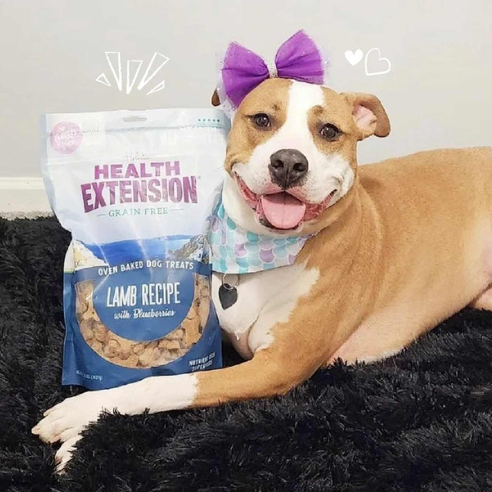 Health Extension Grain-Free Oven Baked Dog Treats, 6 oz
