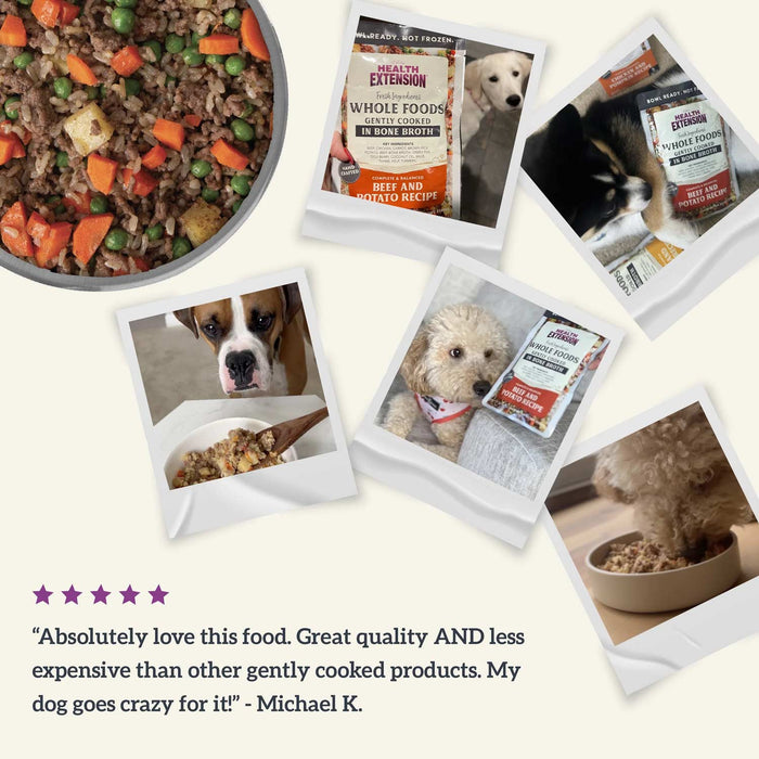 Gently Cooked In Bone Broth Recipe Dog Food Pouches