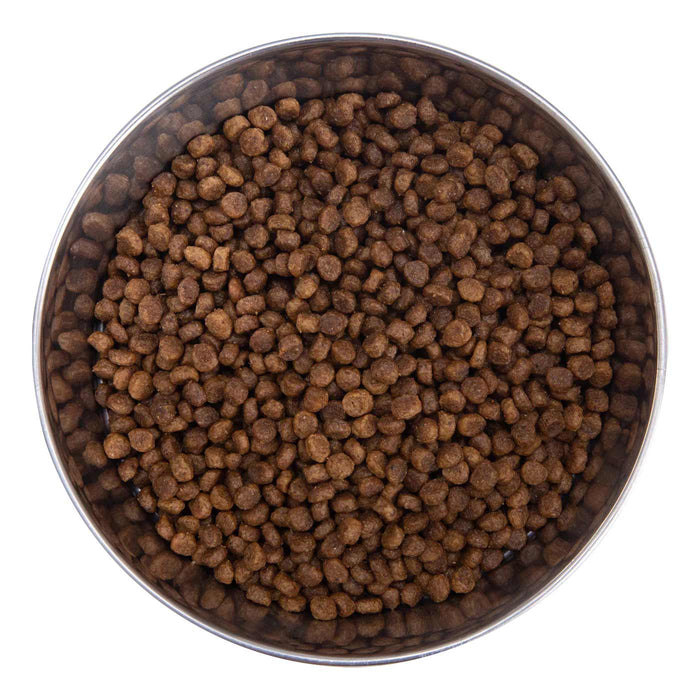 Health Extension Little Bites Chicken & Brown Rice Recipe Small Breed Dry Dog Food