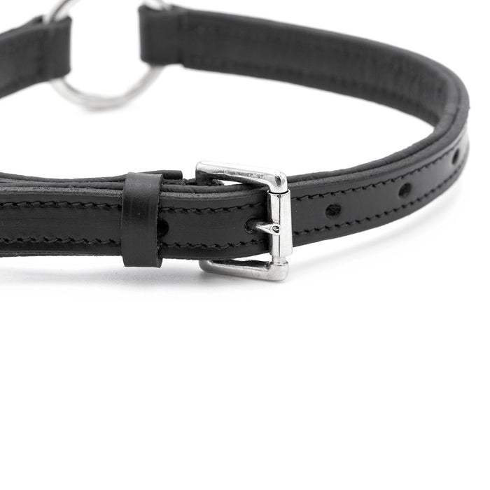 Jeffers Padded Black Leather Dog Collars with O-Ring and Nickel Hardware
