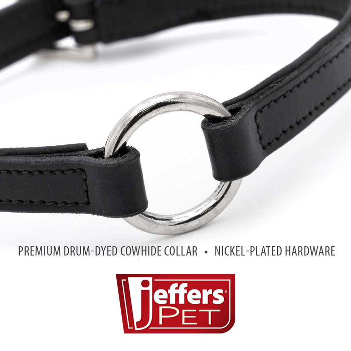 Jeffers Padded Black Leather Dog Collars with O-Ring and Nickel Hardware