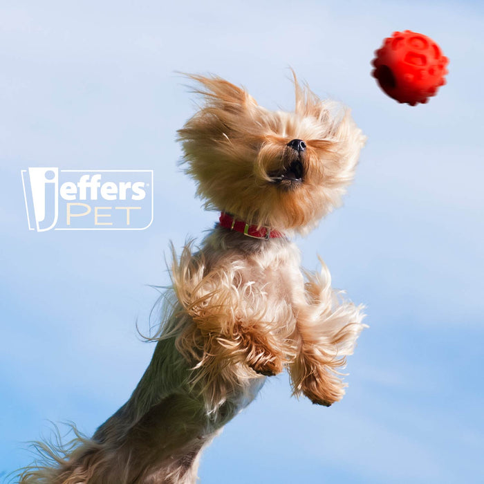 Jeffers Hollow Red Knobby Ball Natural Rubber Dental Treat Dispensing Dog Chew Toy