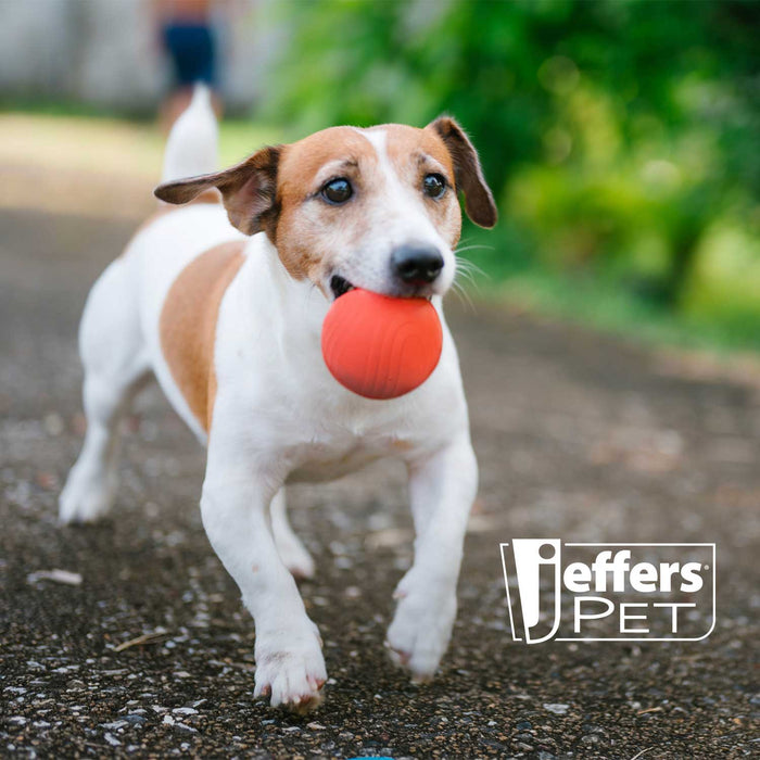 Jeffers Red Bouncing Ball with Waves Natural Rubber Dental Dog Chew Toy for Energetic Play