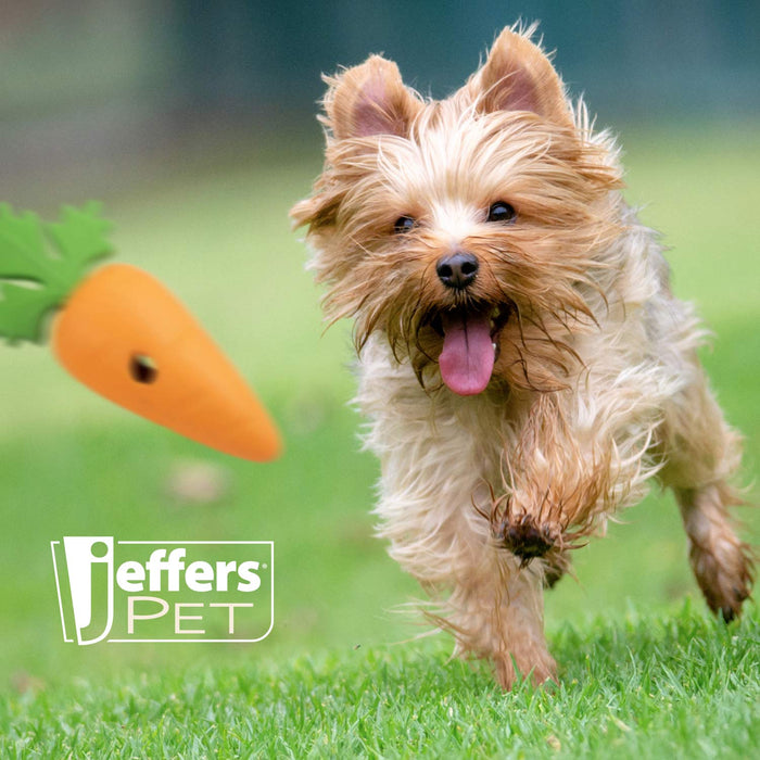 Jeffers Baby Carrot Natural Rubber Treat Dispensing Dog Dental Chew Toy