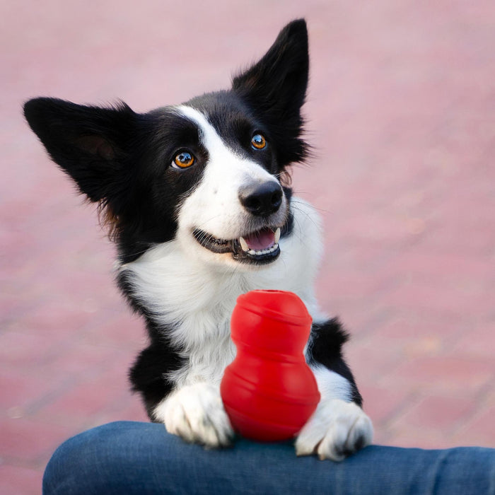 Jeffers Red Classic Stuffable Fetch & Chew Natural Rubber Treat Dispensing Dental Dog Toy