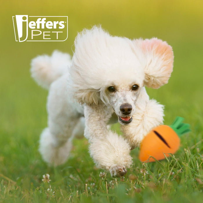 Jeffers Carrot Natural Rubber Treat Dispensing Dental Dog Chew Toy with Slit