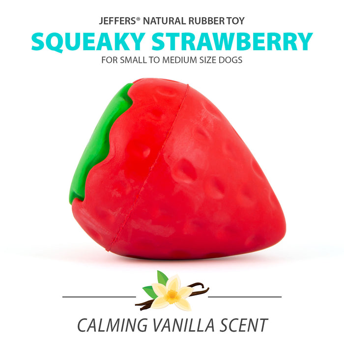 Jeffers Squeaky Strawberry Natural Rubber Dog Dental Chew Toy with Squeaker & Vanilla Scent for Medium Chewers