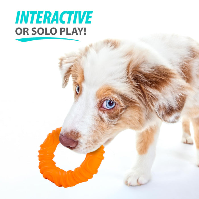 Jeffers Wavy Ring Tugger Natural Rubber Dog Chew Toy for Tug, Fetch & Dental Support