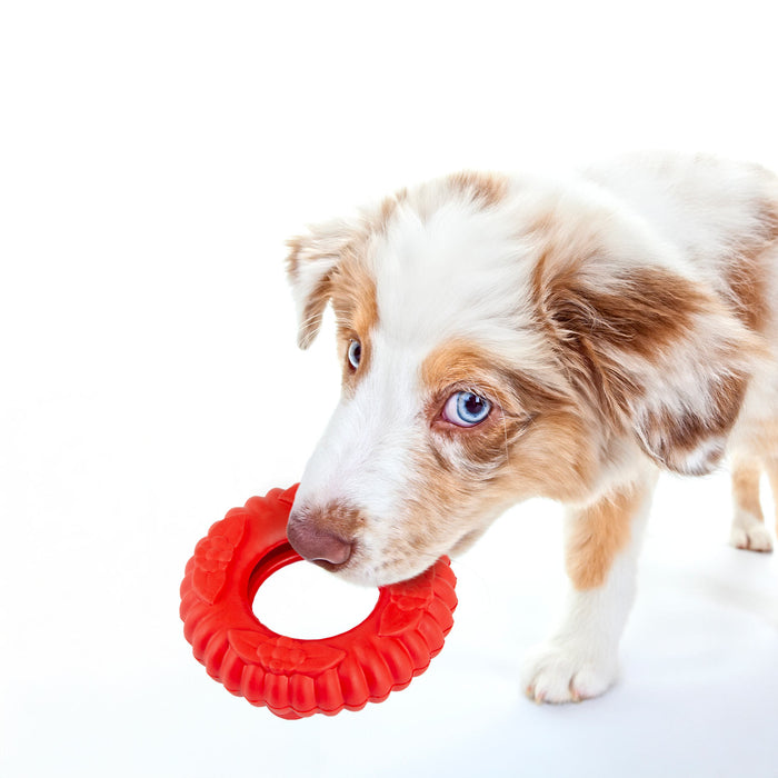 Jeffers Red Virgo Tugger Natural Rubber Dog Dental Chew Toy for Interactive or Solo Play