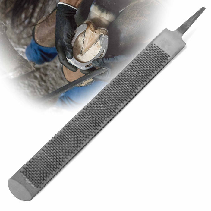 Jeffers Tanged Steel Hoof Rasp – Durable 10" & 14" Rasp for Horses, Ponies, Minis, Goats, and Sheep