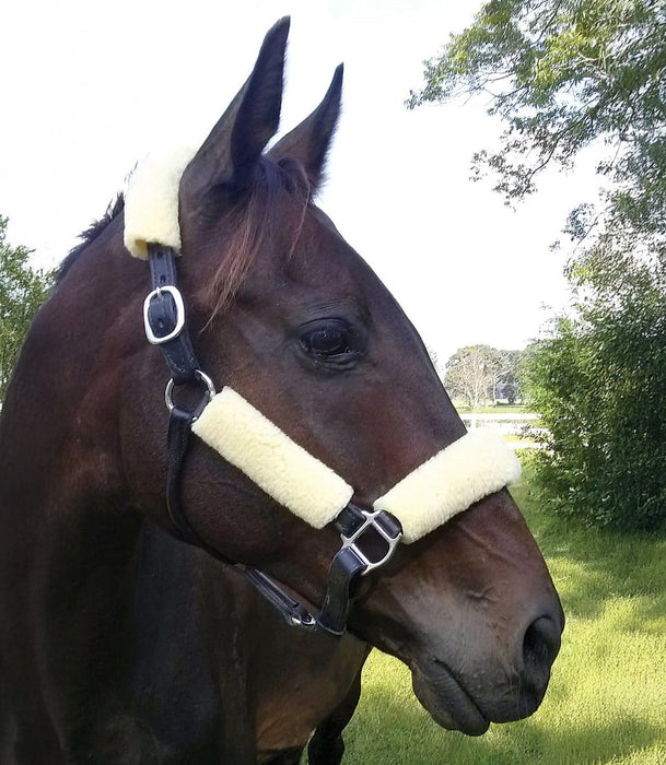 Jeffers Horse Fleece Halter Tube, 4 Piece Comfort Set