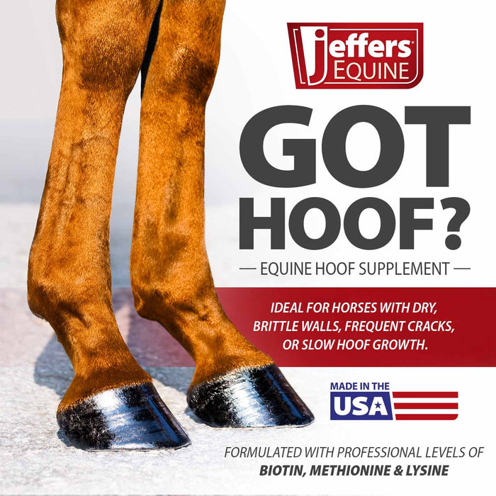 Jeffers Got Hoof? Hoof Builder Supplement for Horses