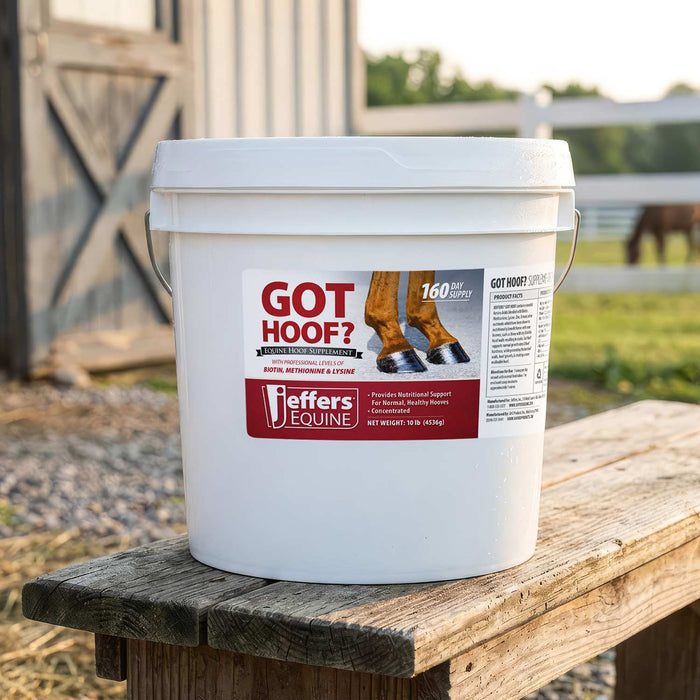 Jeffers Got Hoof? Hoof Builder Supplement for Horses